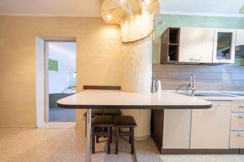 Kuchyňa alebo kuchynka v ubytovaní APARTAMENT NAD KAMIEŃCZYKIEM IV