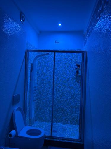 a bathroom with a shower with a toilet in a blue light at B & B Replay in Perugia