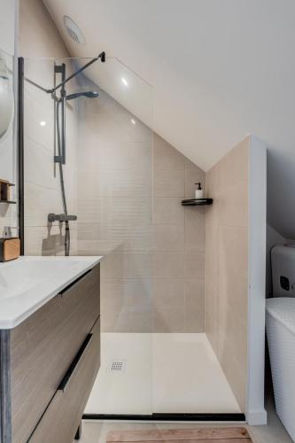 une salle de bain avec douche et toilettes dans l'établissement L'Atypique - Echappée sous les toits, à Toulouse