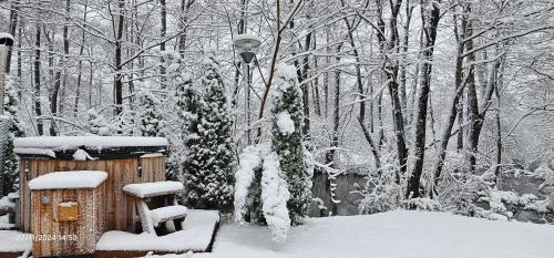 a snow covered garden with a bench and a light at Vodenica Vrelo Chalets in Vrelo Koreničko