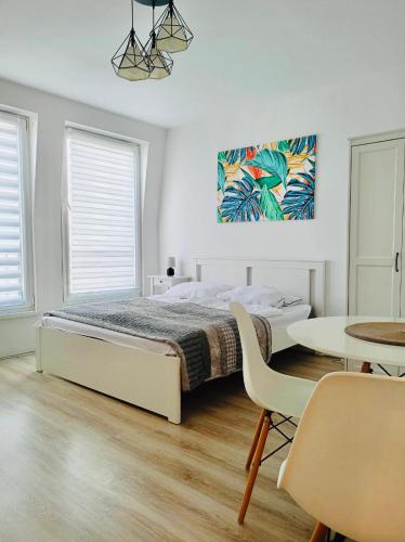 ul Monte Cassino 16/11