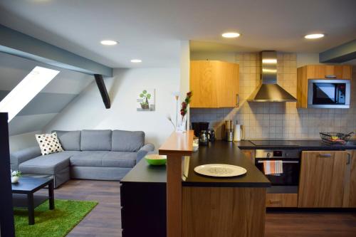 a kitchen and a living room with a couch at Nádor Apartman in Győr