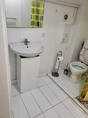 a bathroom with a sink and a toilet at Enrike room 3 in Luxembourg