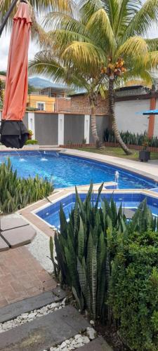 a swimming pool with palm trees next to a building at Quinta Isabel in Ibagué