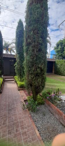 a tree in a garden next to a brick walkway at Quinta Isabel in Ibagué