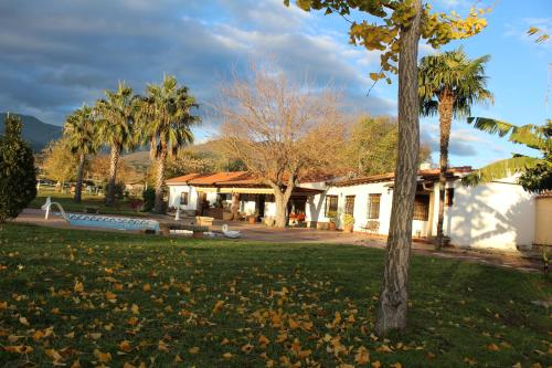 a house with palm trees in a yard at Casablanca in Candeleda