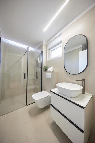 a bathroom with a toilet and a sink and a mirror at Villa Urban in Ražanj