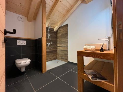 un bagno con wc e doccia di Chalets, Les Crozats a Montriond