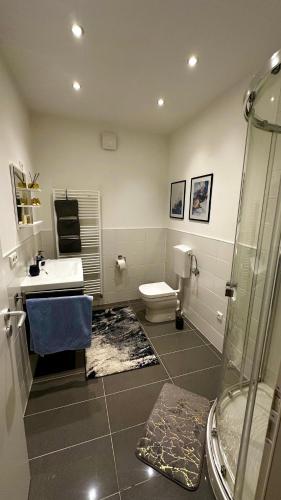 a bathroom with a toilet and a sink and a shower at Apartment Mauerblick in der Altstadt mit Smart TV Waschtrockner und voll ausgestatteter Küche in Goslar