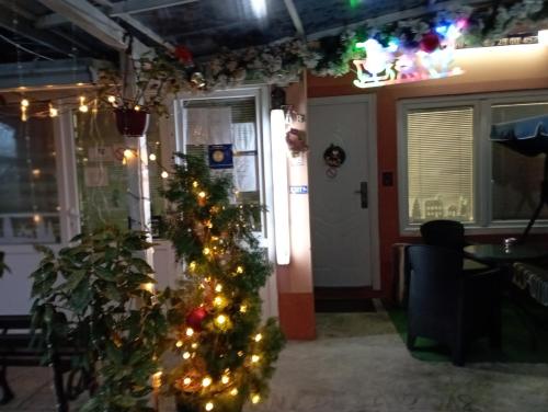 a christmas tree in a living room with lights at Apartments & Rooms -MDL Lazić in Belgrade