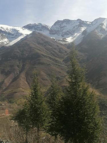 two trees on a mountain with snow covered mountains at Gite Angour Tacheddirt in Tacheddirt