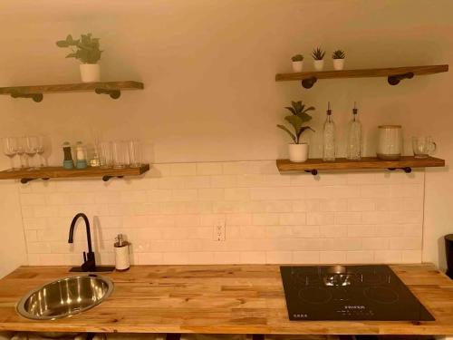 una cucina con un lavello e un bancone con piante di En el Malecon de Puerto Peñasco a Puerto Peñasco