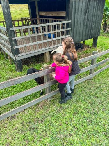 two young girls looking at a sheep through a fence at Chalé Rústico com Hidromassagem e Piscina in Imaruí
