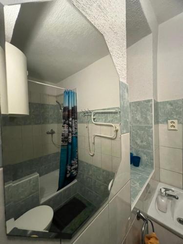 a bathroom with a shower and a toilet and a sink at Penzion pod Vlekem Dolní Morava in Dolní Morava