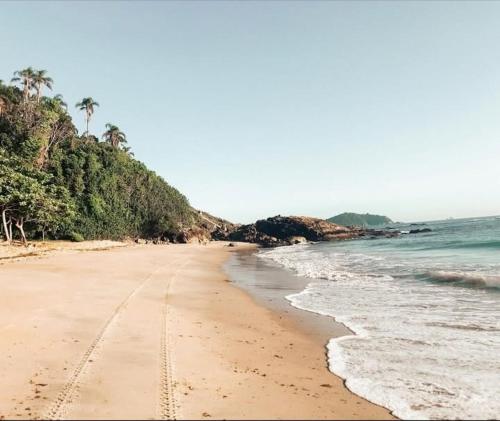 a sandy beach with palm trees and the ocean at Apartamento praia do quilombo Centro - 02 in Penha