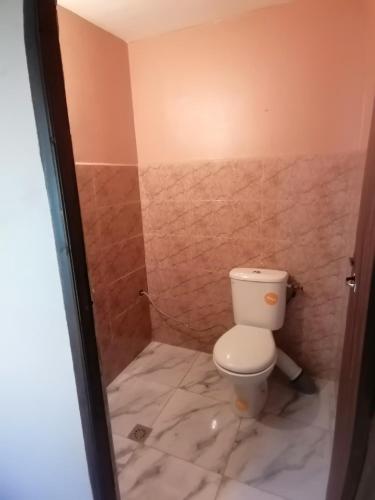 a bathroom with a toilet and a tiled wall at Gite Angour Tacheddirt in Tacheddirt