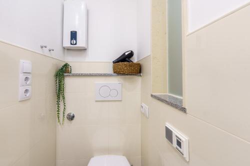 a bathroom with a toilet and a mirror at Apartment mit Wasserblick in Lübeck