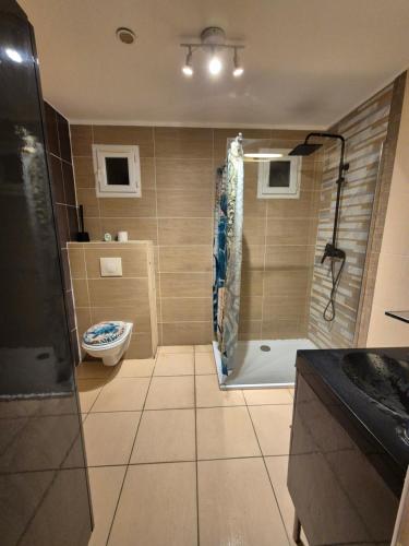 a bathroom with a shower and a toilet at Un Brin de Mistral in Saint-Louis-du-Rhône