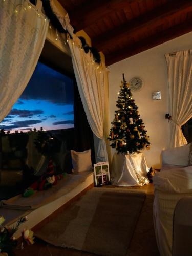 a christmas tree in a living room with a christmas tree at Il Rifugio della Quiete in Scicli