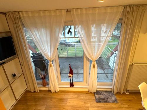 two cats standing in a window with curtains at K14 FeWo - Am Kurpark - Therme in Bad Saarow