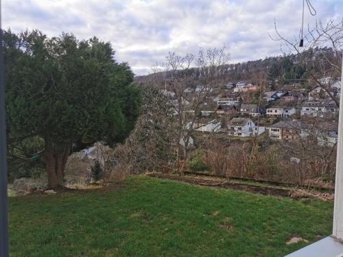a green yard with a tree and houses on a hill at Monteurwohnung Biedenkopf in Biedenkopf