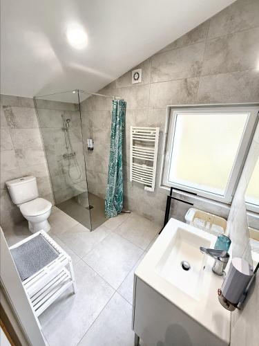 une salle de bain avec une douche, des toilettes et un lavabo dans l'établissement Maison de charme à Nyons au milieu des vignes, à Nyons