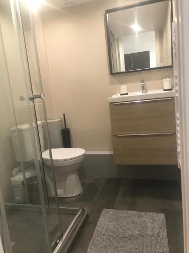 une salle de bain avec toilettes, lavabo et miroir dans l'établissement St Marc appartement 4 Personnes au Centre de Paris, à Paris