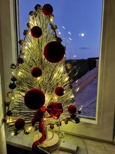 Fotografie z fotogalerie ubytování La Casa Di Torre Di Palme v destinaci Marina Palmense