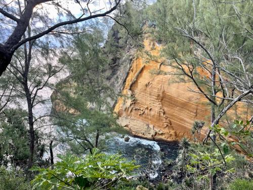 a rock cliff with a river in a forest at Grande Villa au calme - Vue exceptionnelle - Climatisation - Piscine sel chauffée - Jardin Tropical in Vincendo