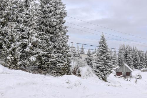 a cabin in the snow next to a group of trees at Robert Hotel in Dragobrat