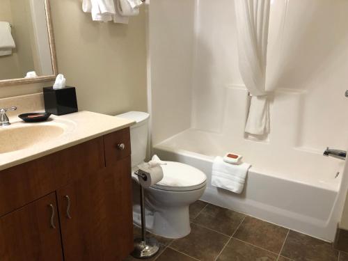 a bathroom with a toilet and a sink and a tub at Aspen Suites Hotel Haines in Haines