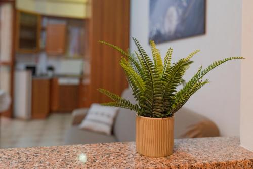 Dapur atau dapur kecil di Rivoli FC suite