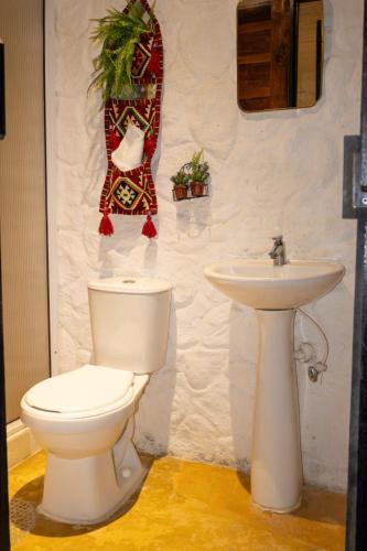 a bathroom with a toilet and a sink at Riverside La Masía Ecohotel in Quindío