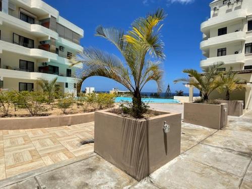 a palm tree in a planter in front of a building at Sunset Ocean View Apartment in Flic-en-Flac