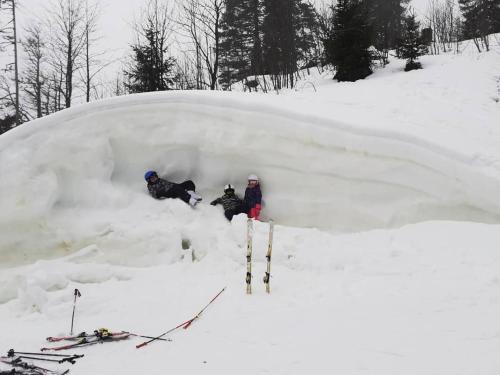 Kuća Drinčić en invierno
