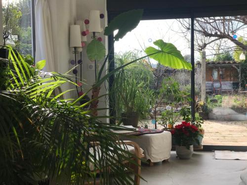 Κήπος έξω από το SÛN Guesthouse