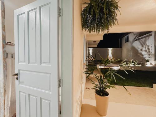 a door leading into a room with a potted plant at Pousada Vilab in Arraial d'Ajuda