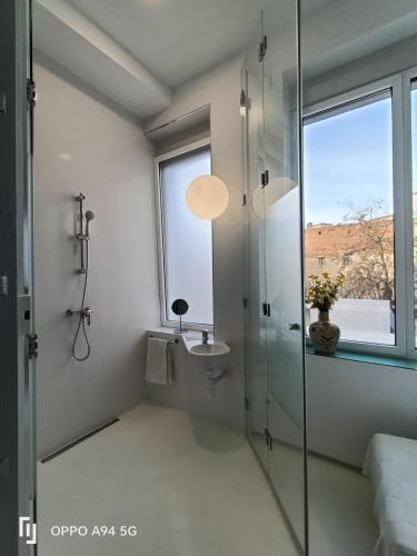 a bathroom with a glass shower and a sink at San José y Maderuelo B in Ávila