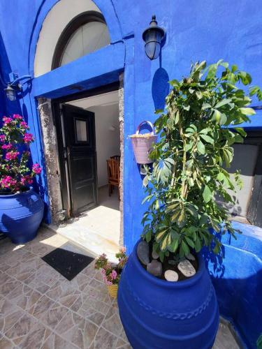 a blue building with a blue pot with a plant in it at Anedosa Cave House in Santorini