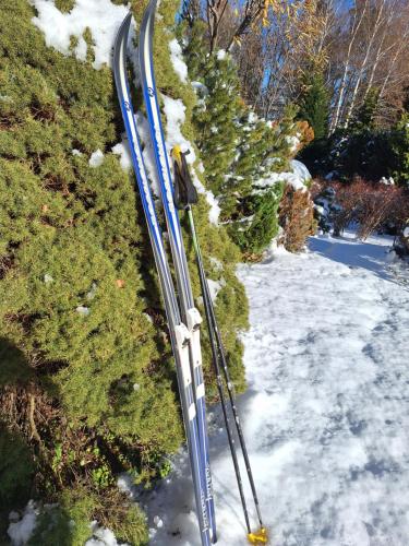 a pair of skis are sitting in the snow at Pohorje Zen Garden in Pohorje