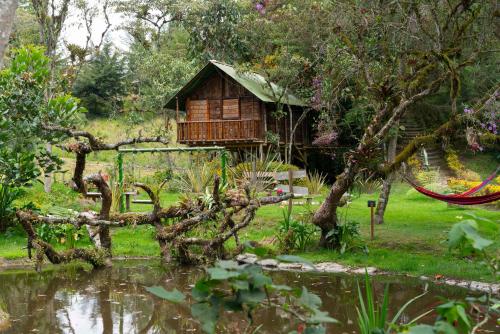 a tree house in the middle of a pond at Cabañas Rusticas El Viejo Tambo in San Pedro