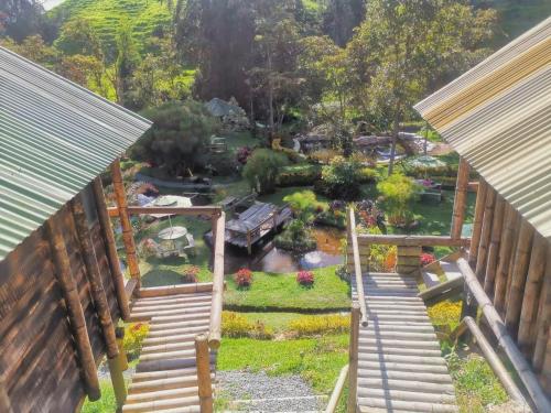 an aerial view of a garden with wooden stairs at Cabañas Rusticas El Viejo Tambo in San Pedro