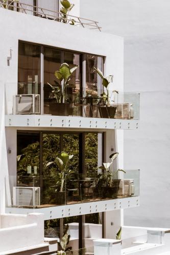 a building with potted plants on it at Likno Athens in Athens