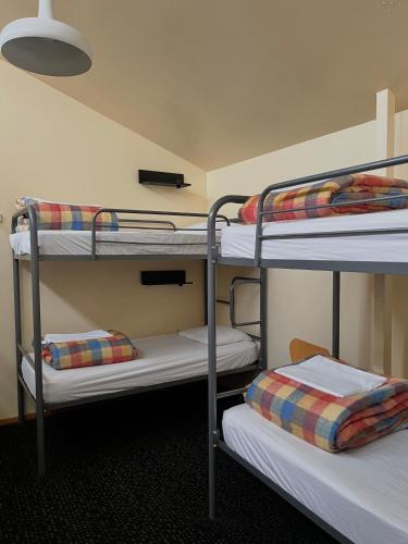 a room with three bunk beds in a room at On Top Backpackers in Dunedin