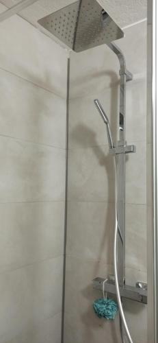 a shower in a bathroom with a shower head at Apartement Saint Louis Train Station- EuroAirport- Basel in Saint-Louis