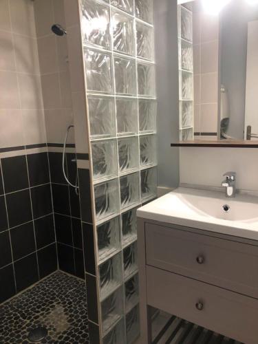 La salle de bains est pourvue d'un lavabo et d'une douche avec des étagères en verre. dans l'établissement Gite de Charme, à Calviac