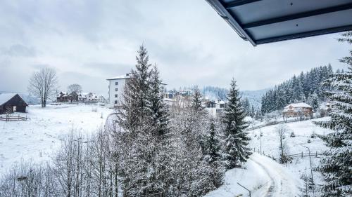 Imagine din galeria proprietății Lion în Bukovel