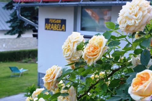 um grupo de rosas em frente a um posto de gasolina em Pension Arabela em Harrachov