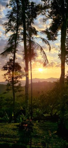 Φυσικό τοπίο κοντά σε αυτό το σαλέ