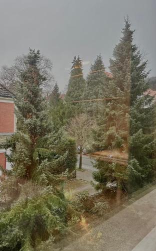 Κήπος έξω από το Gemütliche und Zentrumsnahe Wohnung in Goslar